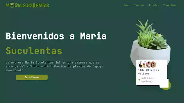 captura-wen-suculenta